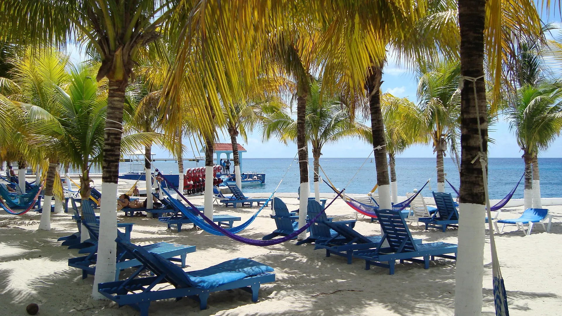 Cozumel Hotel & Resort Trademark Collection By Wyndham